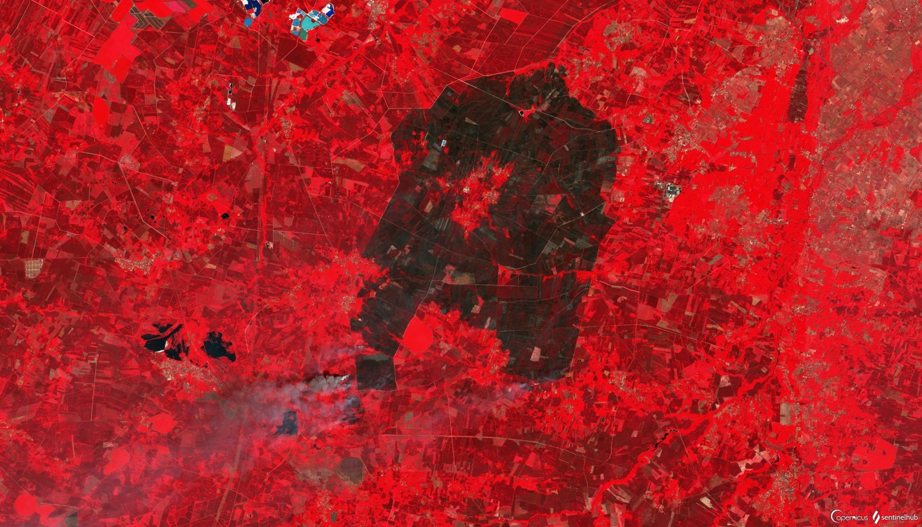Vue satellite en fausses couleurs d'une zone forestière de Gironde, avec une large cicatrice noire correspondant à la surface brûlée